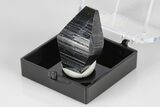 Large, Lustrous Anatase Crystal - Hardangervidda, Norway #177352-1